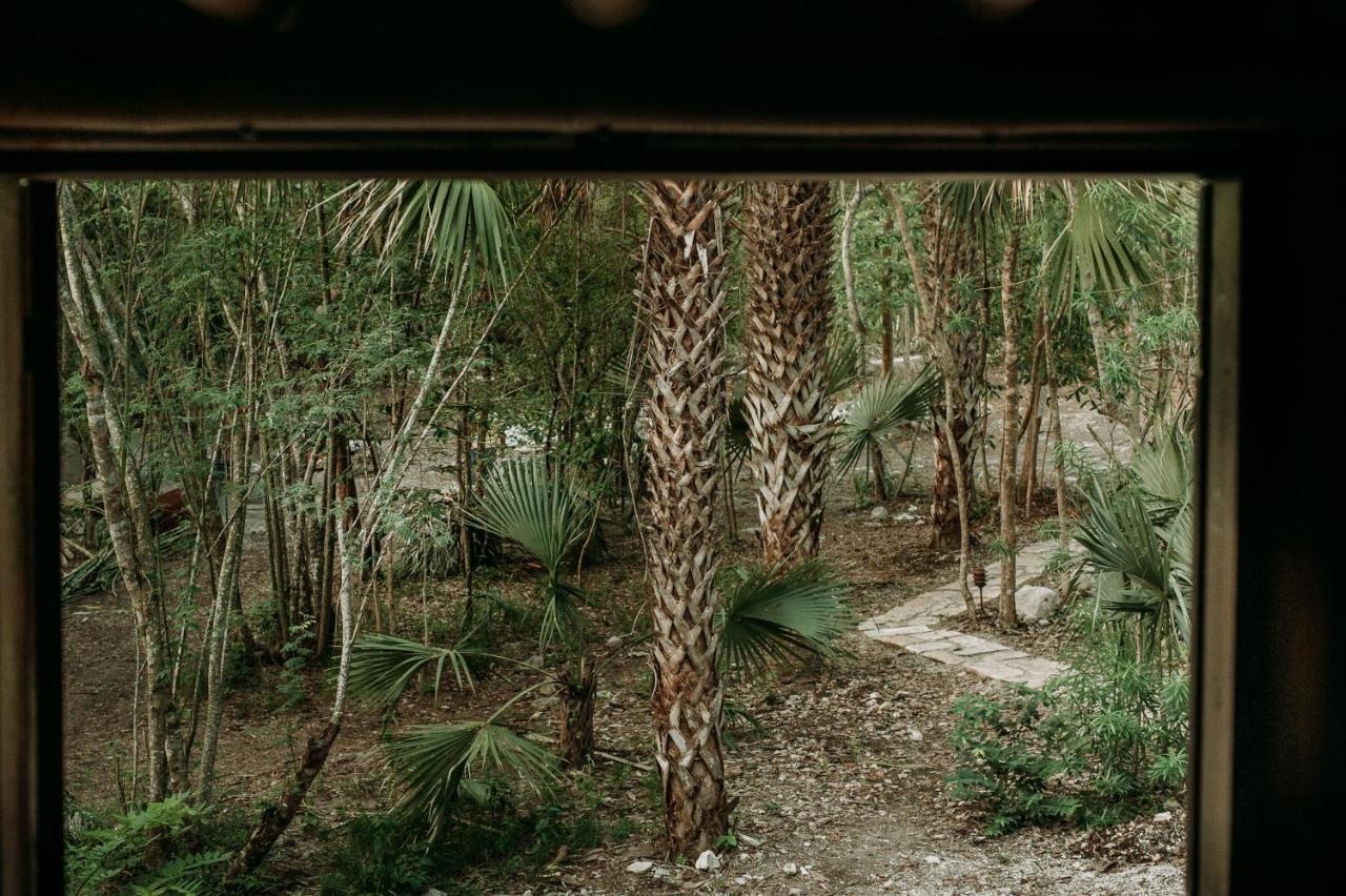 Selva Teenek Eco-Park Ciudad Valles Exterior photo