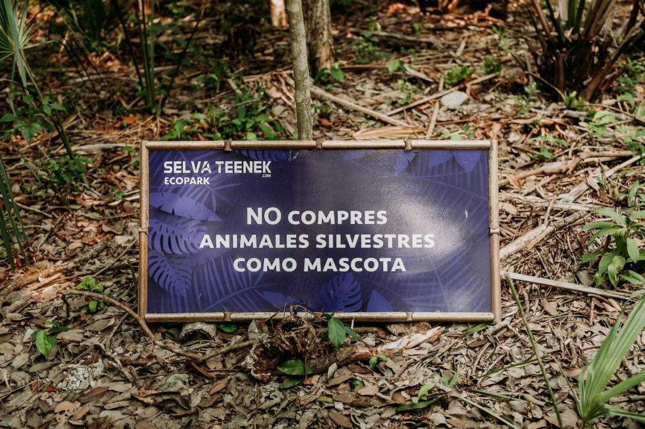 Selva Teenek Eco-Park Ciudad Valles Exterior photo