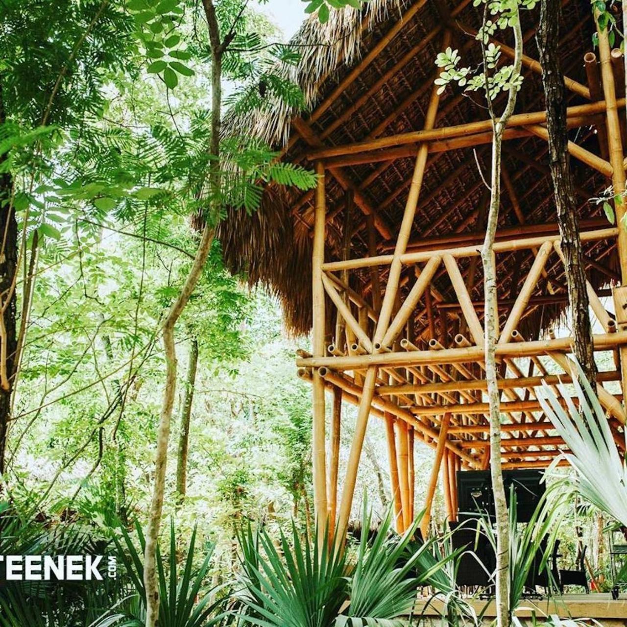 Selva Teenek Eco-Park Ciudad Valles Exterior photo