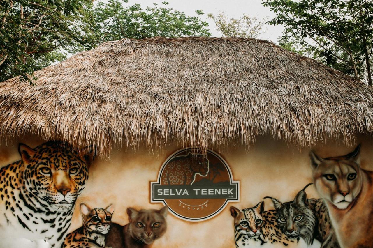 Selva Teenek Eco-Park Ciudad Valles Exterior photo